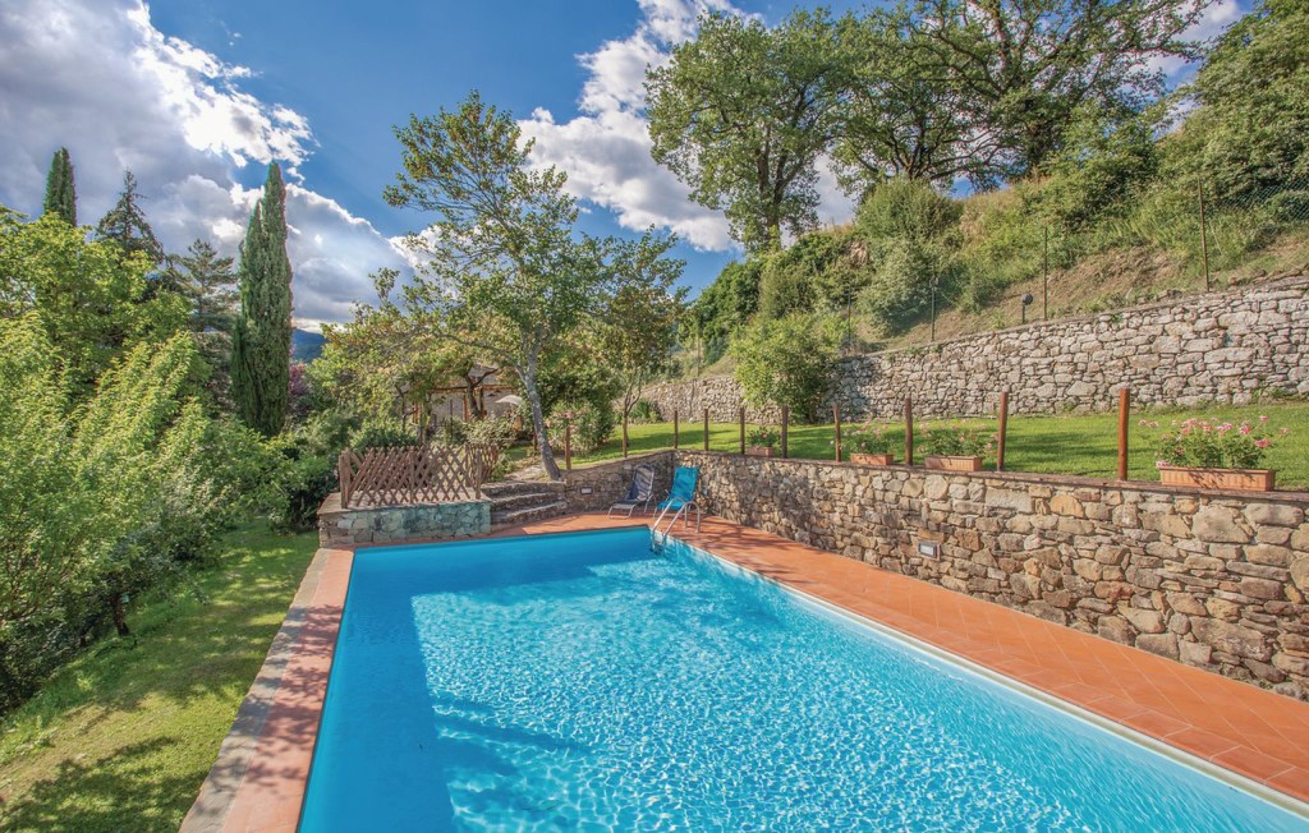 Piscina e ulivi in Valdichiana