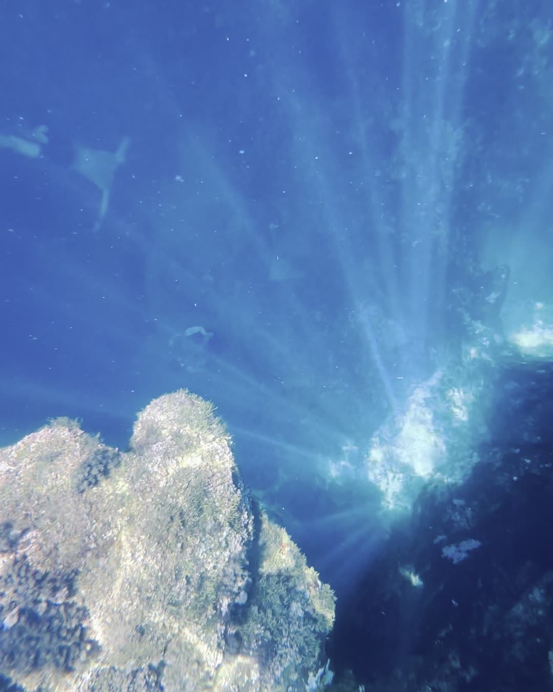 Snorkeling nell'acqua cristallina